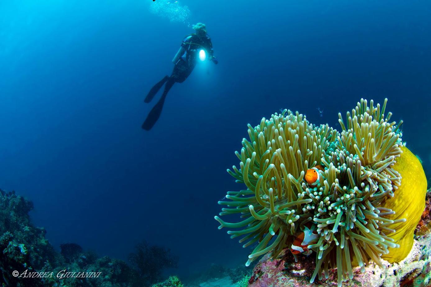 Sunset Cove Beach & Dive Resort Romblon Exteriér fotografie